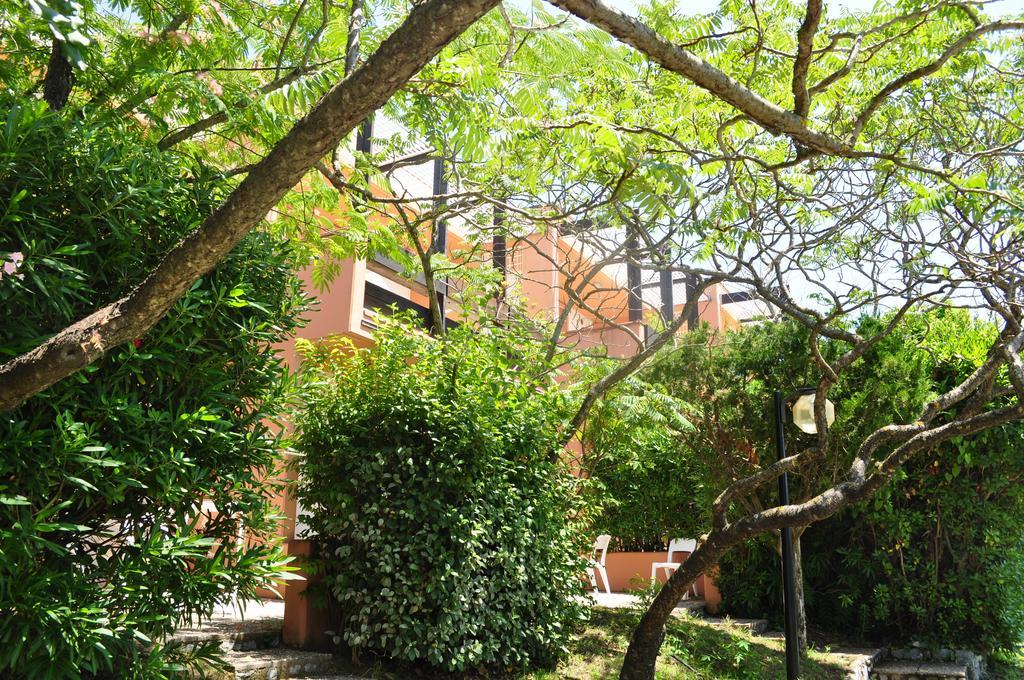 Club Residence Pianetamaratea Σάντα Κατερίνα Δωμάτιο φωτογραφία
